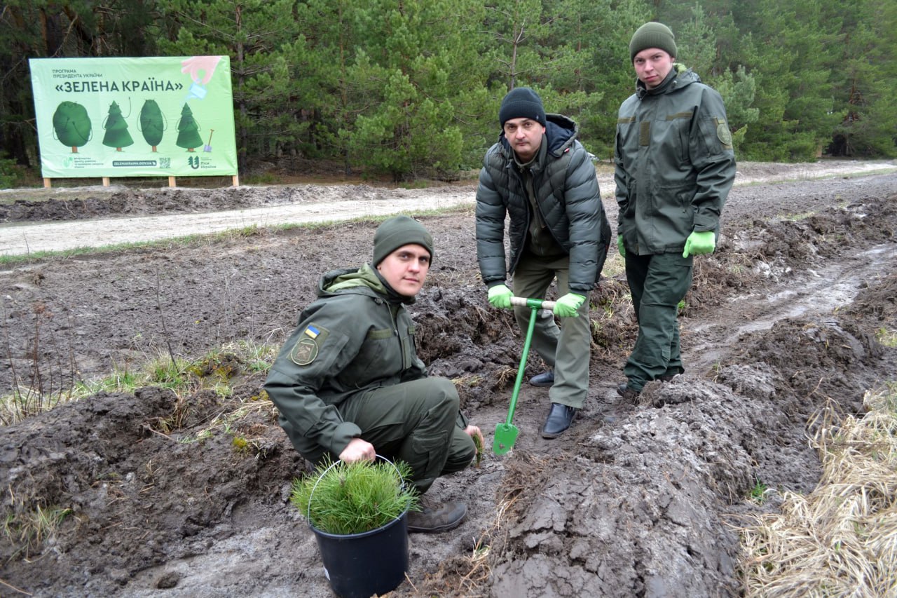Висадили понад мільйон саджанців дерев цієї весни на Харківщини