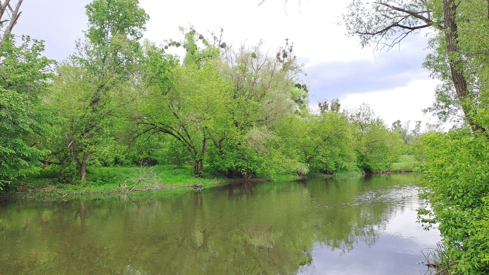 река Лопань