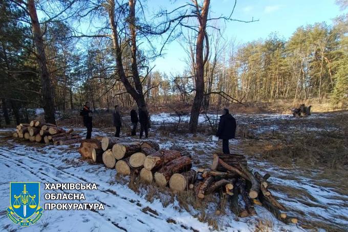 На Ізюмщині викрито трьох чорних лісорубів, які нанесли Шкода майже на пів мільйона гривень