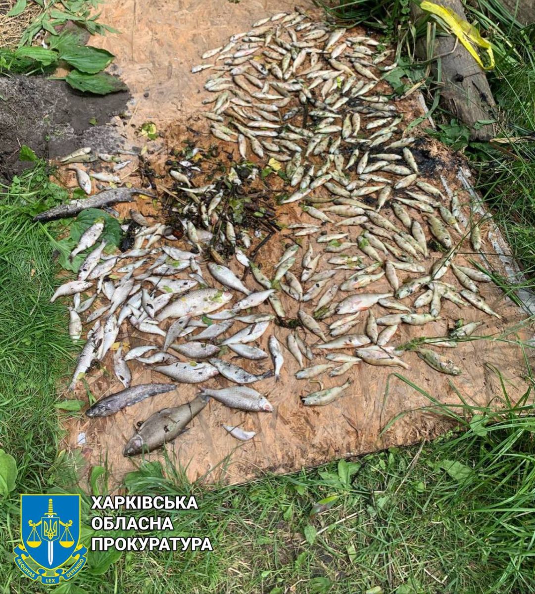 Розпочато слідство щодо масової загибелі риби у річці Уди у Харкові