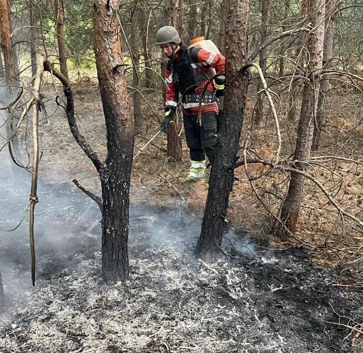 загоряння хвойного лісу поблизу села Кучерівка Куп’янського району