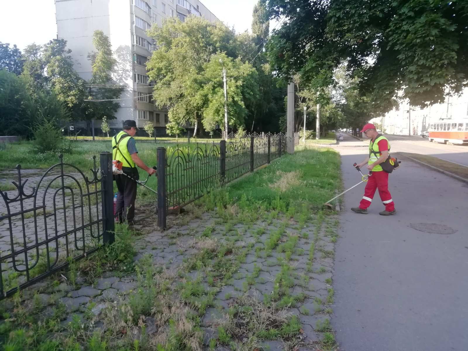 Скосили траву на тисячах гектарів комунальники Харкова