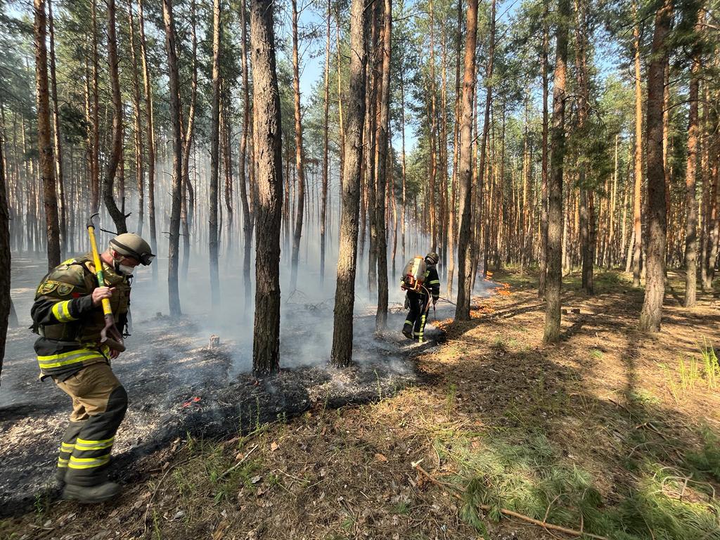 Пожежа Харків: Спалахнув ліс через обстріл ворога