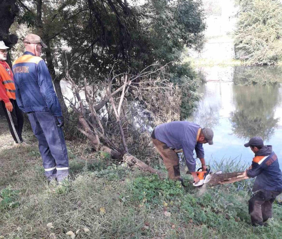 Видаляють аварійні дерева вздовж річки Харків комунальники