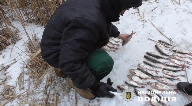 Погубив рибу на 100 тисяч, був спійманий та чекає на суд браконьєр на Харківщині