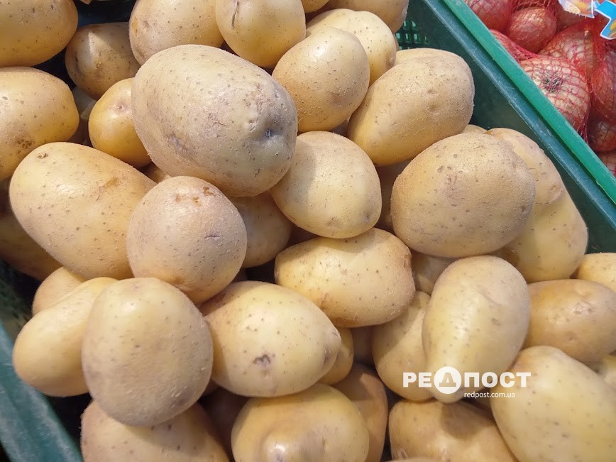Здешевшає картопля восени: прогноз експерта