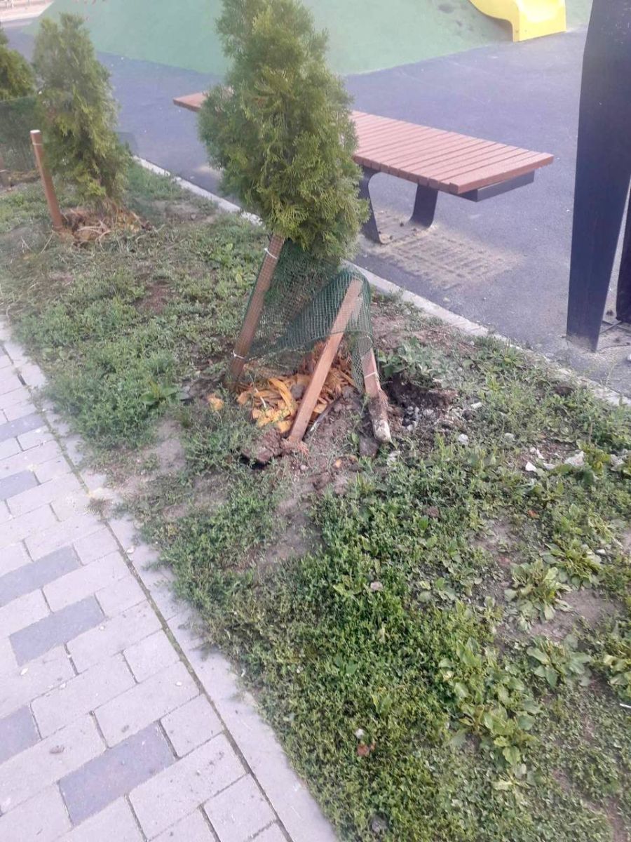Зламали десятки дерев вандали у парку та сквері Харкова