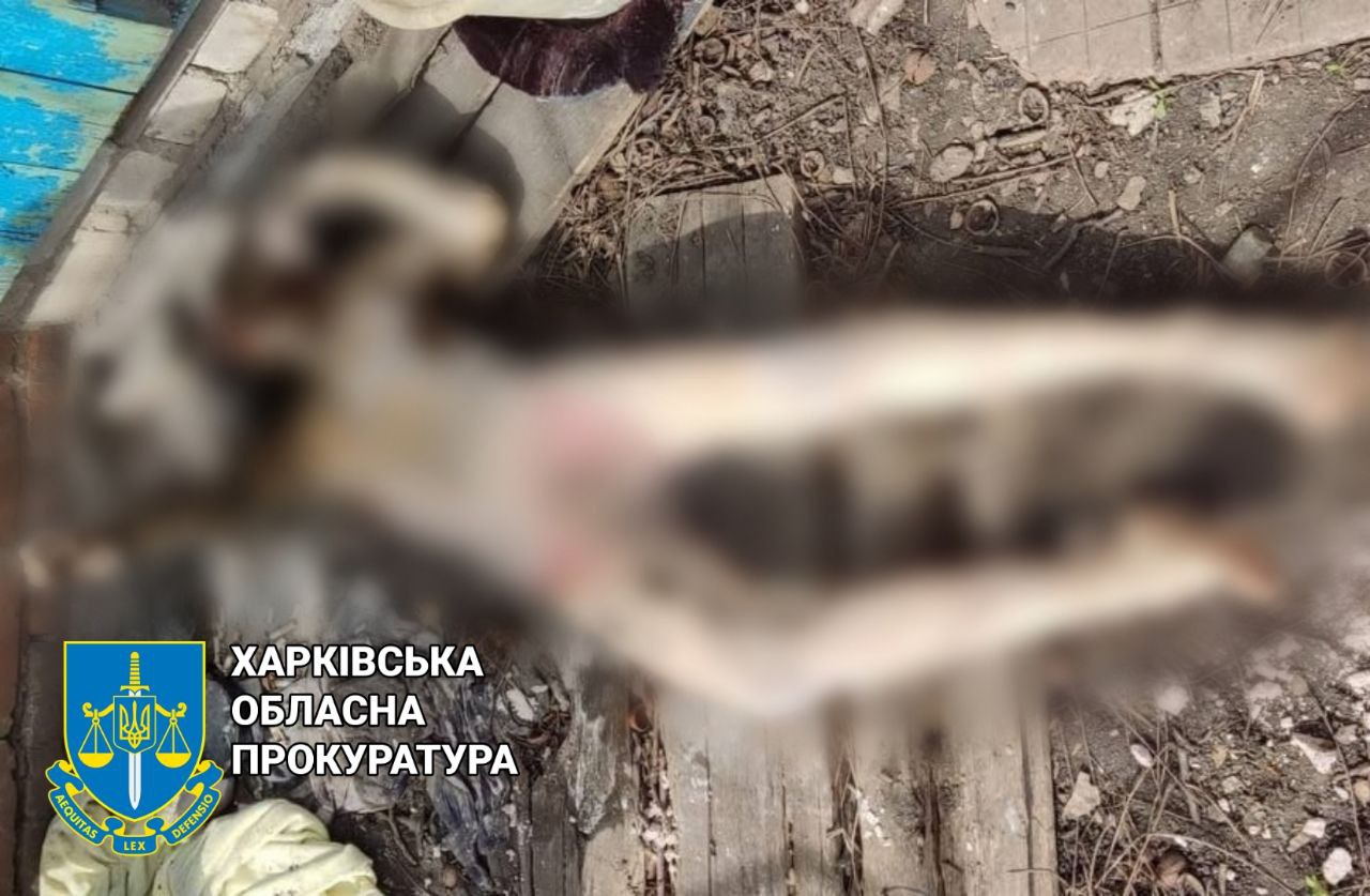 На Харківщині чоловік забив співмешканку та скинув тіло до вигрібної ями: суд виніс вирок