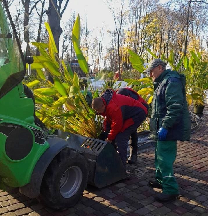 Готується до зими харківський Центральний парк