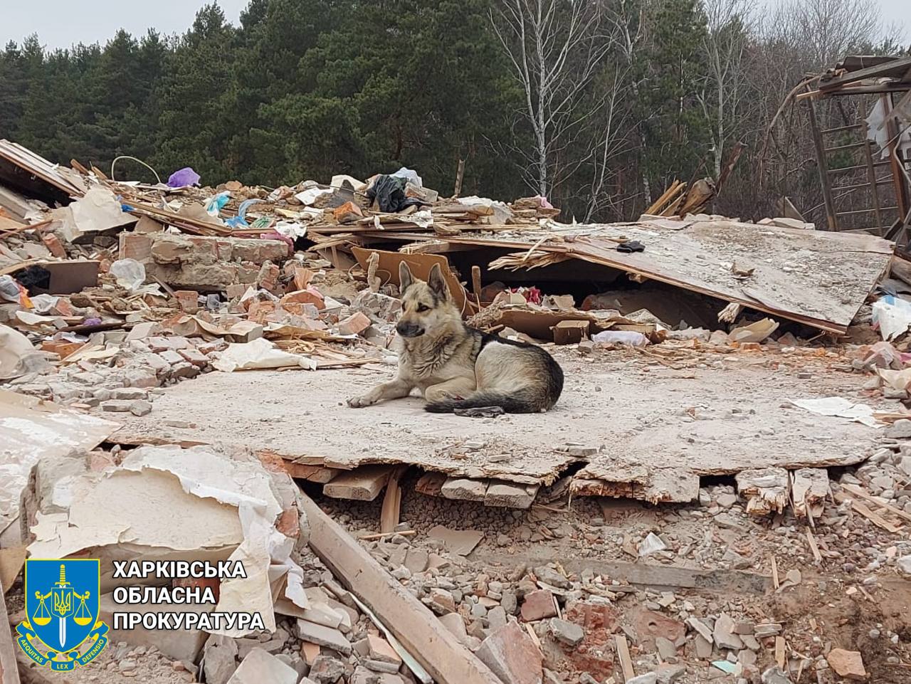 Гатили по селам Харківщини вночі окупанти: фотографії наслідків обстрілів