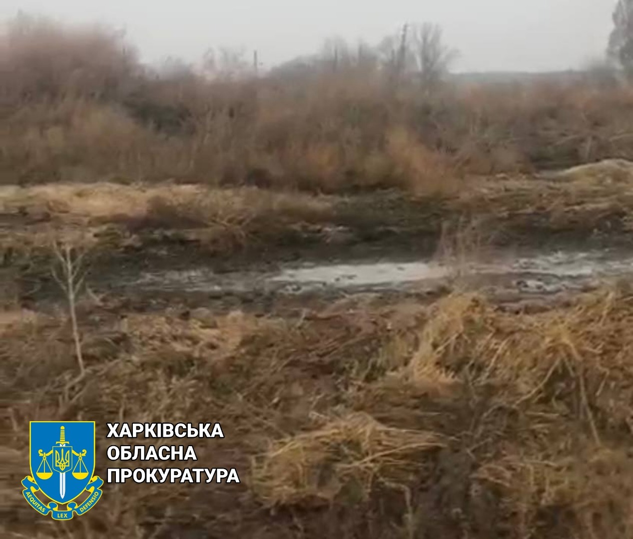 Новини Харкова: директора ферми винуватять у забрудненні земель