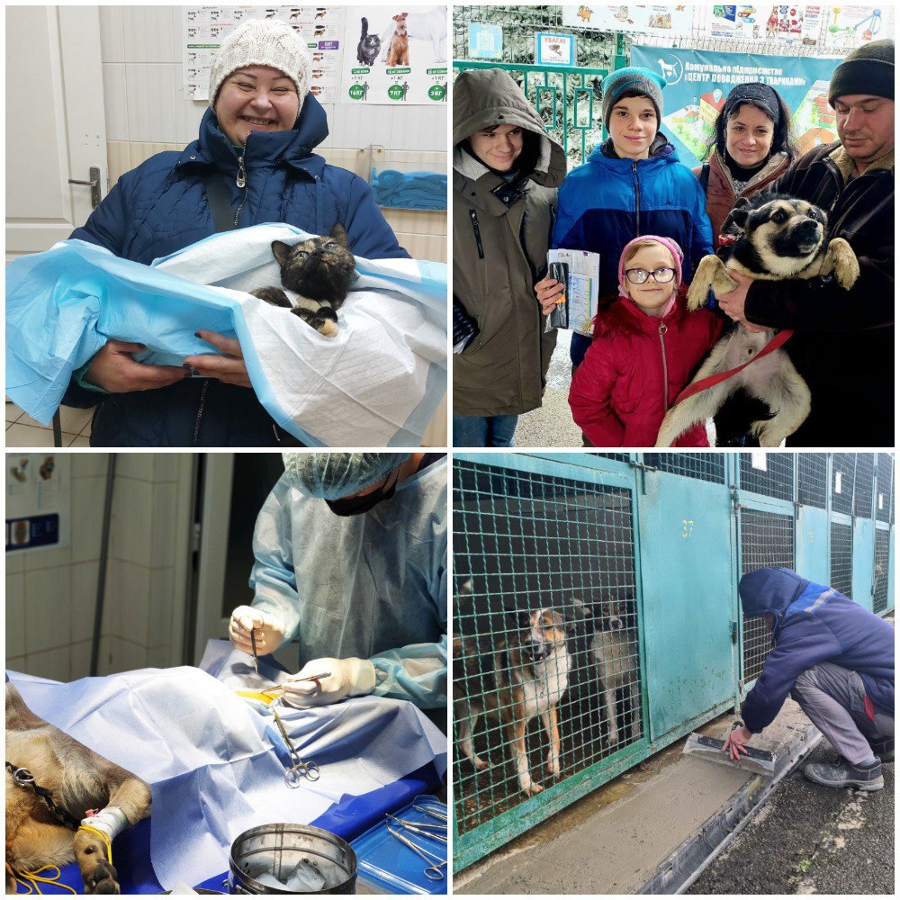 Центр поводження з тваринами Харків