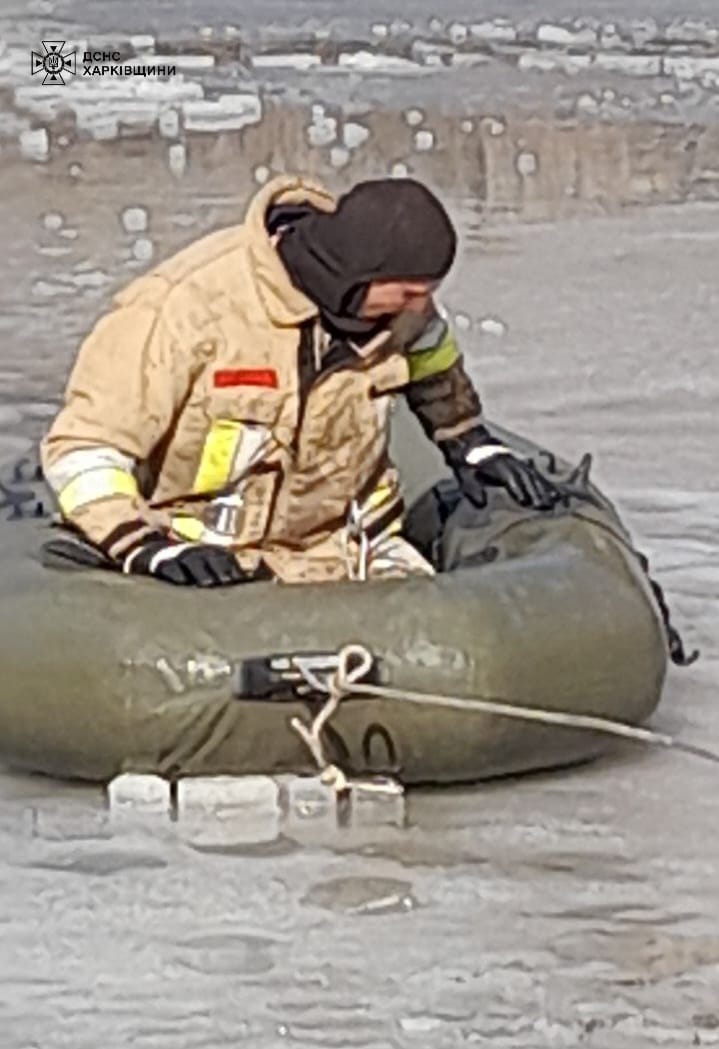 Харківські рятувальники дістали з води собаку, який провалився під лід