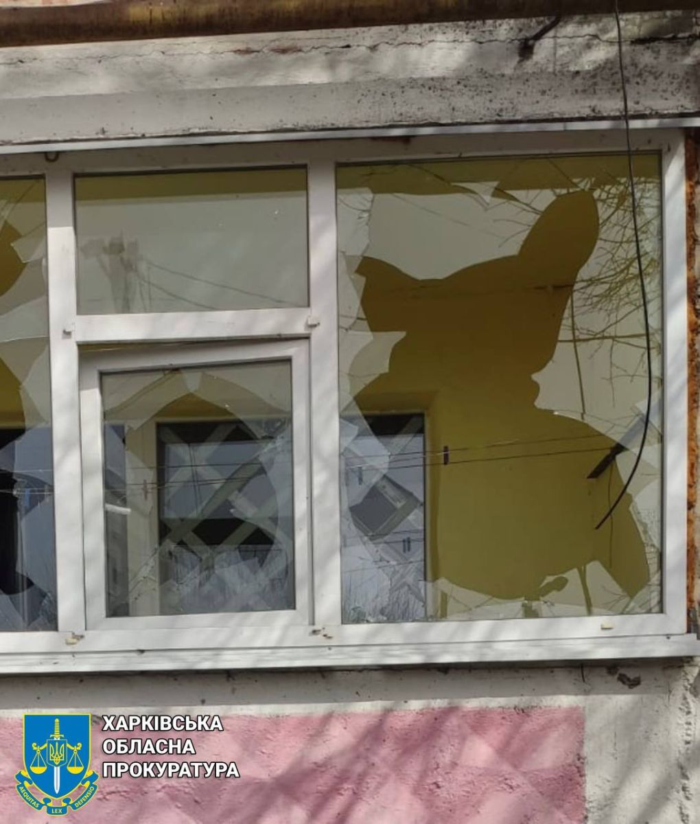 Показали, як виглядає селище Харківщини після обстрілу правоохоронці