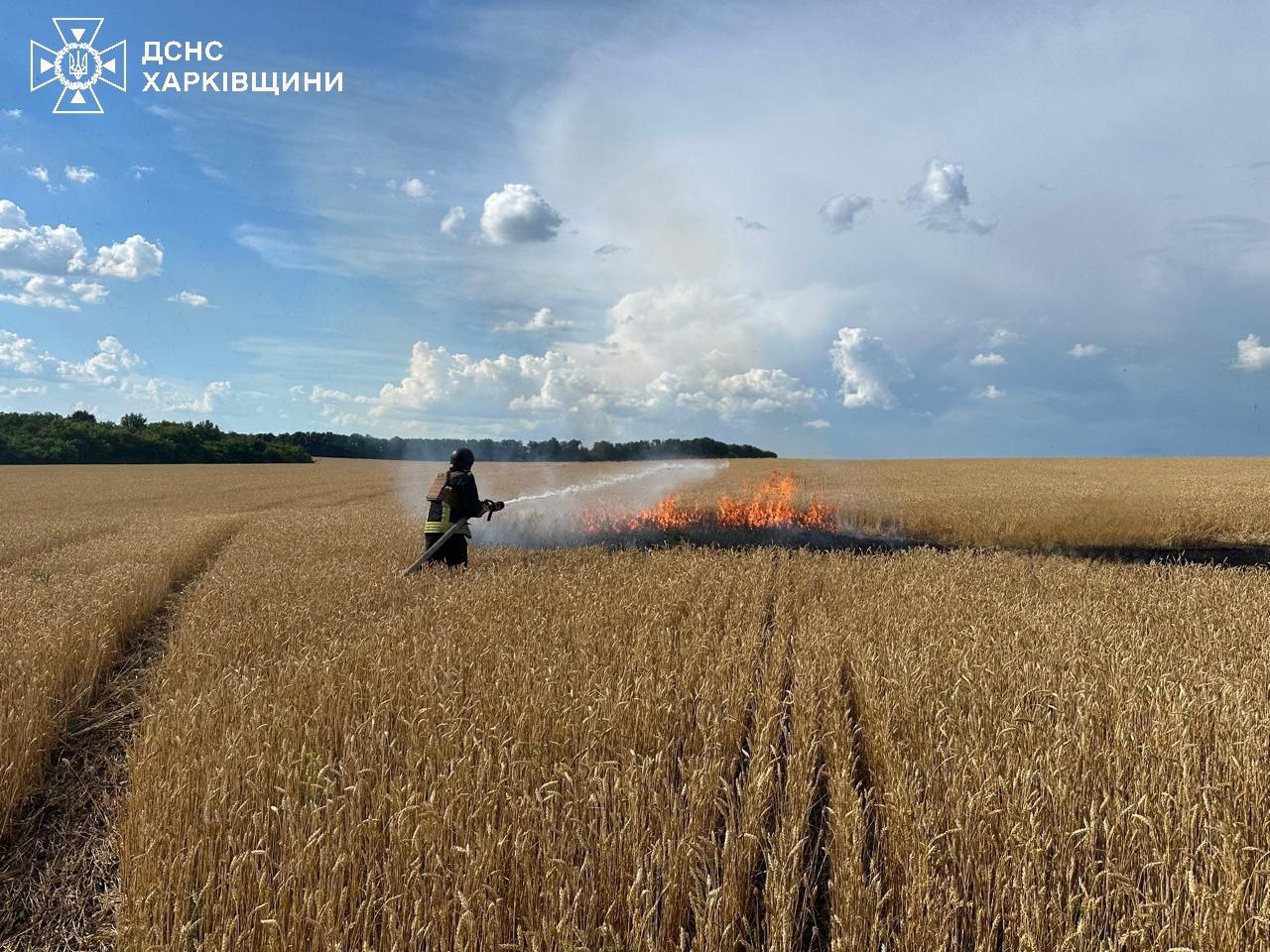 Знищити більше сотні гектарів пшениці намагалися окупанти на Харківщині