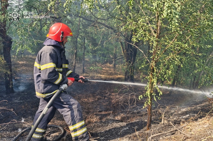 лісова пожежа в Балаклійському лісництві