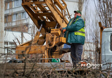 У Харкові здійснюють санітарну обрізку дерев (фото)