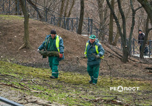 У Харкові здійснюють санітарну обрізку дерев (фото)