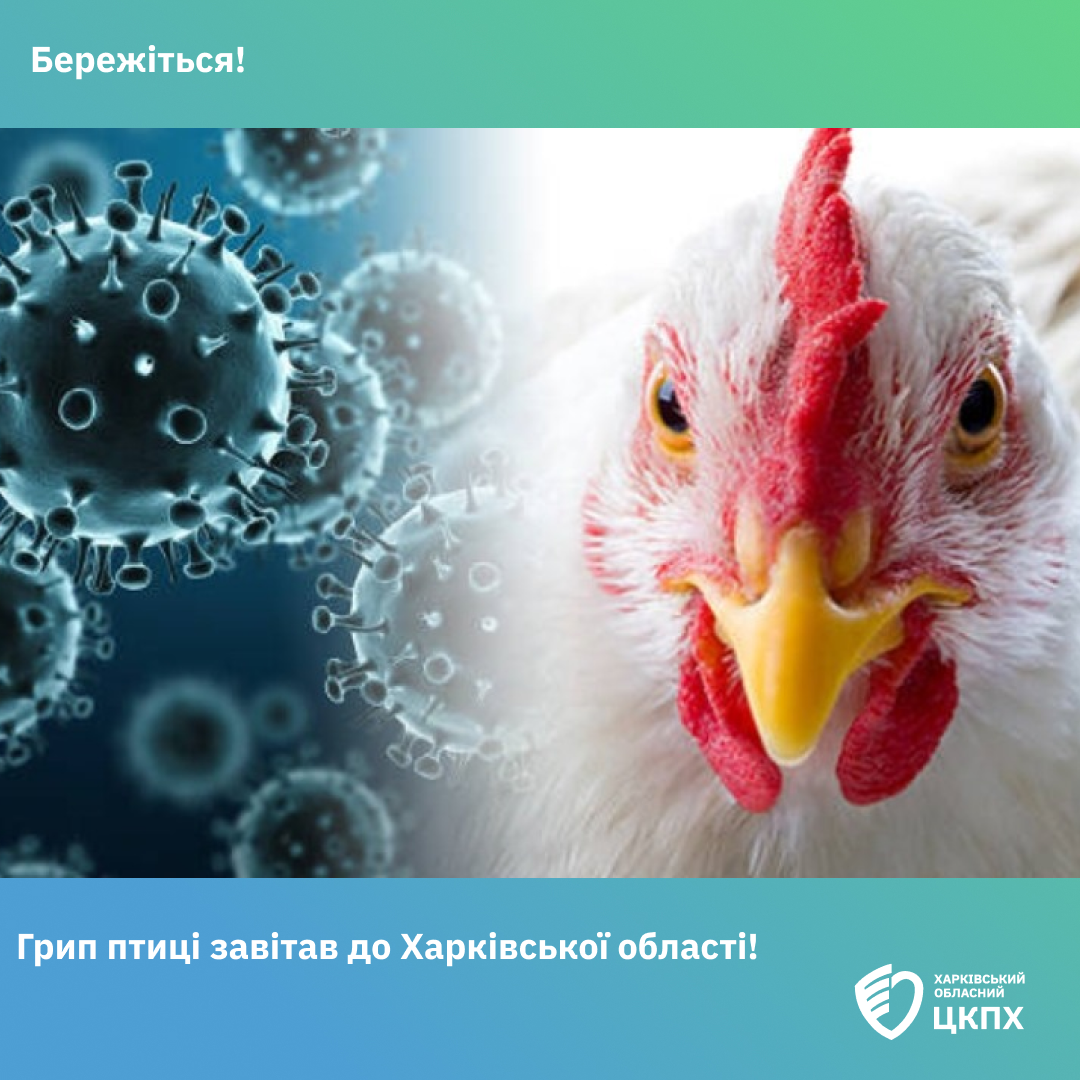 Випадки пташиного грипу виявили у Харківській області