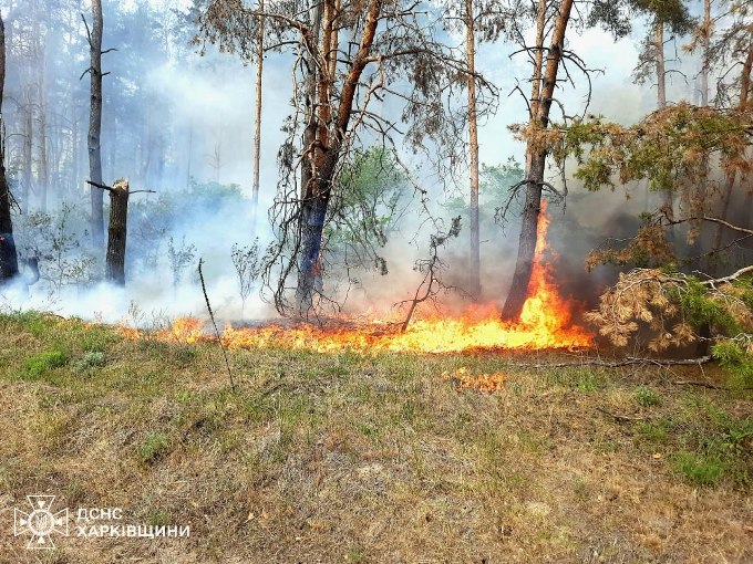 В Ізюмському районі Харківщини тривають лісові пожежі