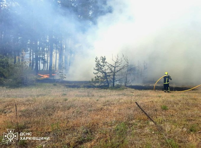 В Ізюмському районі Харківщини тривають лісові пожежі