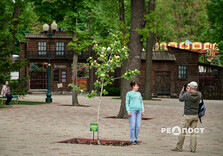 Квіти у парках Харкова (фото)