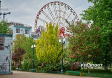 Квіти у парках Харкова (фото)