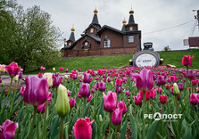 Квіти у парках Харкова (фото)