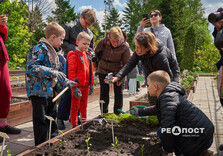 У Харківському ботанічному саду створили незвичний проект (фото)