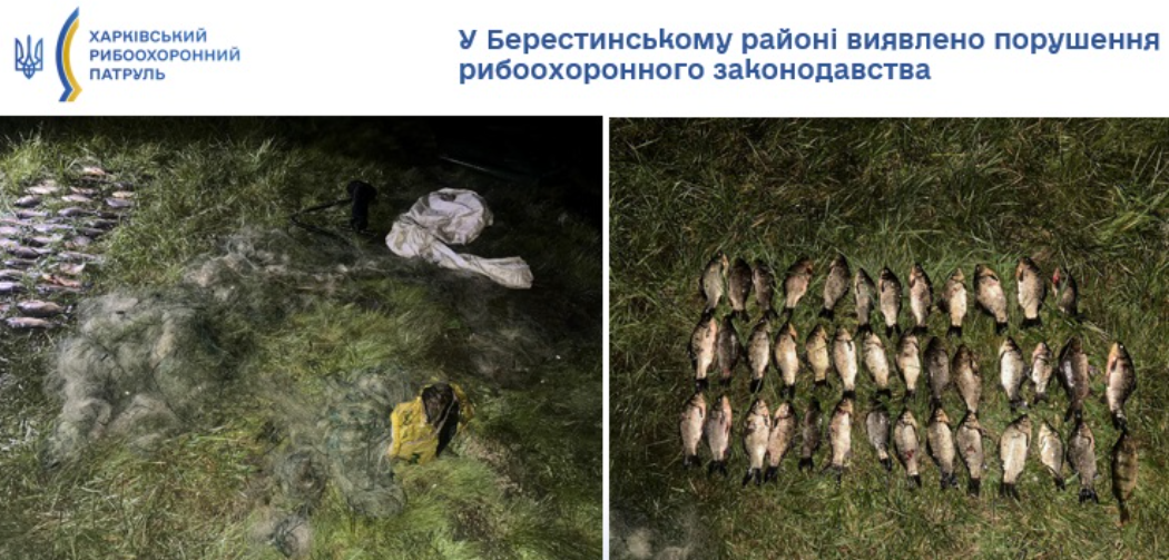 На Харківщині виявили браконьєра, який ловив рибу сітками