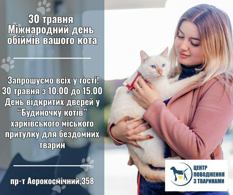 Запрошує на флешмоб, день відкритих дверей й обрати собі улюбленця родини притулок для тварин: Новини Харкова