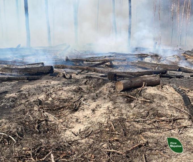 На Харківщині горить ліс