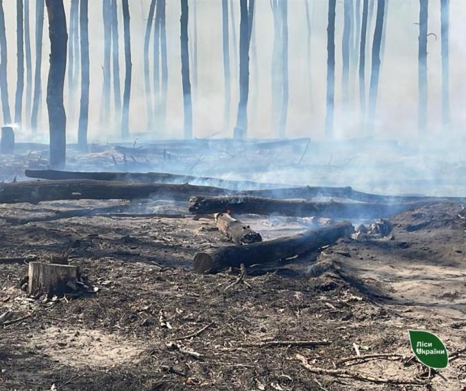На Харківщині горить ліс