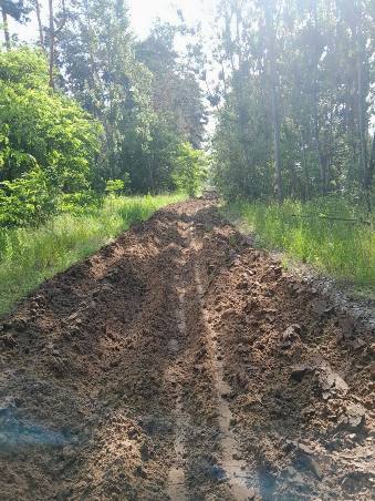 У харківських лісах створюють смуги захисту від пожеж