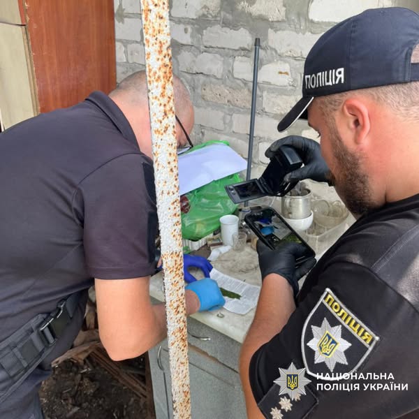 На Харківщині дрон допоміг викрити наркорослини в приватному дворі