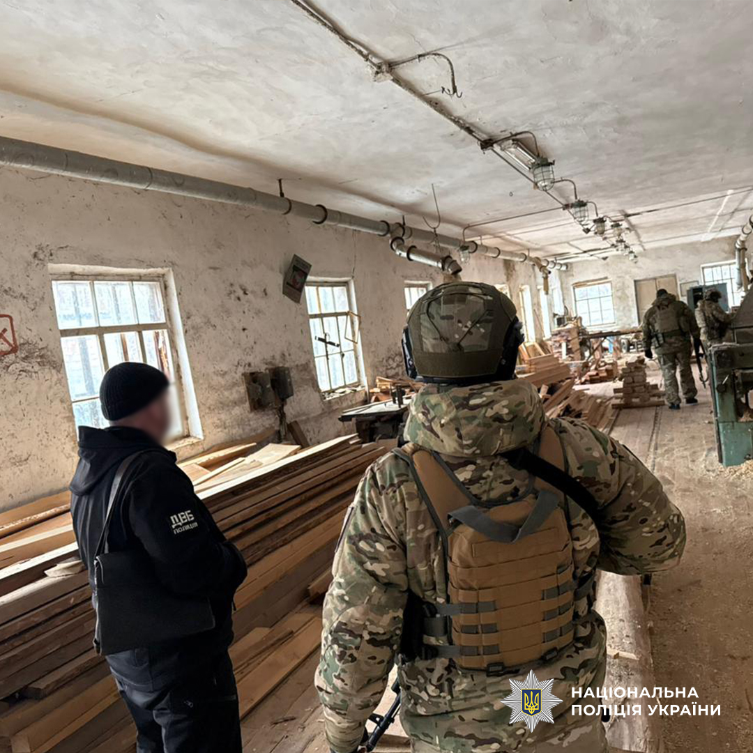 На Харківщині група осіб вирубувала вікові дерева з метою подальшої реалізації