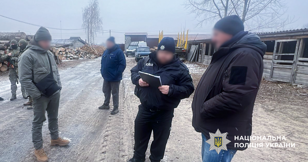На Харківщині група осіб вирубувала вікові дерева з метою подальшої реалізації