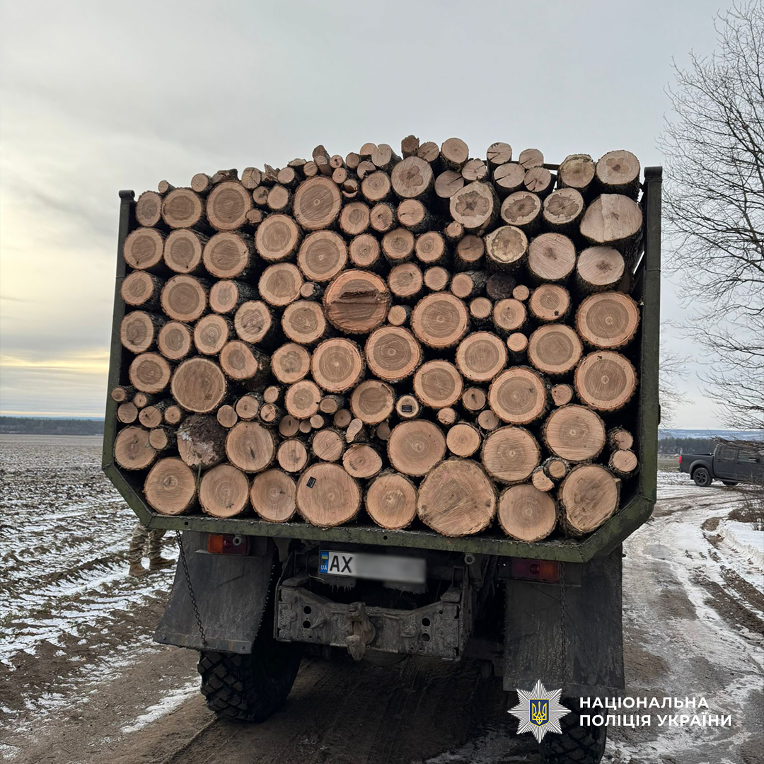 На Харківщині група осіб вирубувала вікові дерева з метою подальшої реалізації