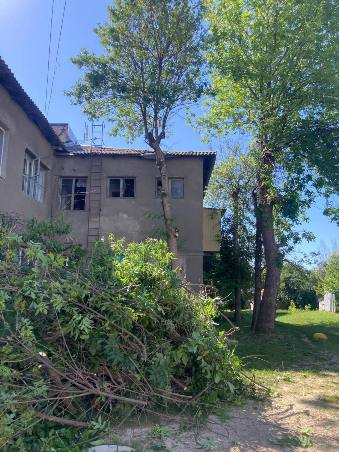 Комунальники «Харківзеленбуду» прибрали дерева після нічної атаки в Харкові