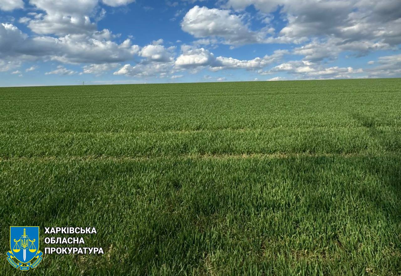 Відібрали землі, які  вартують мільйони, у хитрих ділків, правоохоронці: Новини Харкова