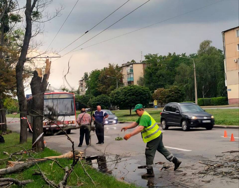 Буревій повалив дерев та пошкодив покрівлі й парапети у Харкові (фото)