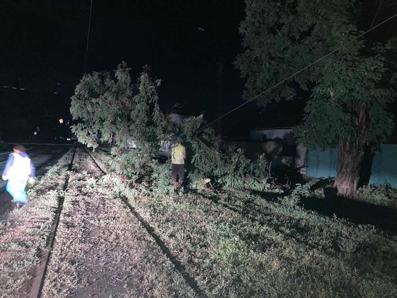 Усувають наслідки буревію у місті: Новини Харкова