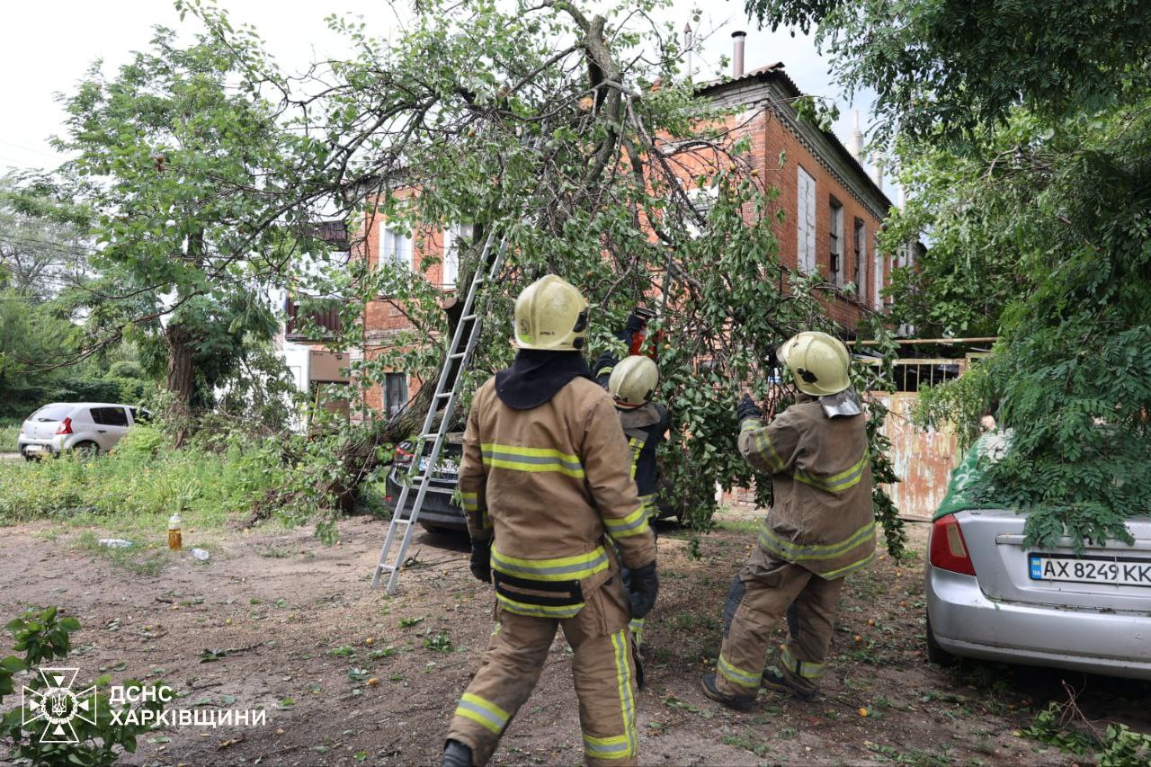 Як рятувальники Харківщини усувають наслідки стихії показали у ДСНС (фото)