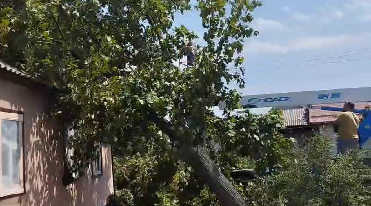 Впорядковують приватний сектор після буревію комунальники: Новини Харкова