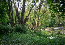Що наробила стихія в парках Харкова (фото)