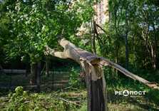 Що наробила стихія в парках Харкова (фото)