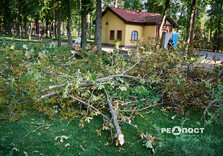 Що наробила стихія в парках Харкова (фото)
