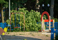Що наробила стихія в парках Харкова (фото)
