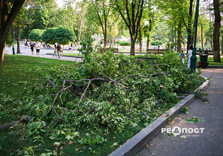 Що наробила стихія в парках Харкова (фото)
