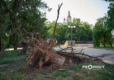 Що наробила стихія в парках Харкова (фото)